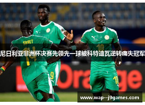 尼日利亚非洲杯决赛先领先一球被科特迪瓦逆转痛失冠军 尼日利亚非洲杯决赛先领先一球被科特迪瓦逆转痛失冠军