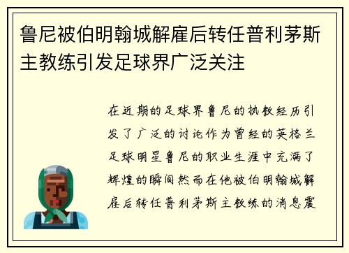 鲁尼被伯明翰城解雇后转任普利茅斯主教练引发足球界广泛关注 鲁尼被伯明翰城解雇后转任普利茅斯主教练引发足球界广泛关注